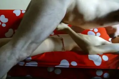 Live ABG Bispak Hotel Bintang Lima Skandal Viral